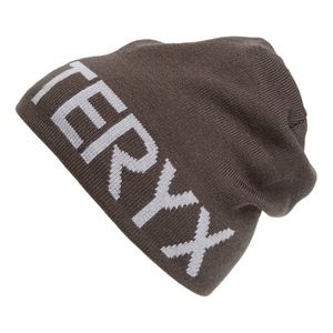 NWT Arc'teryx Word Head Long Toque Beanie Grey